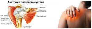 При защемлении нерва в плечевом суставе При защемлении нерва в плечевом суставе