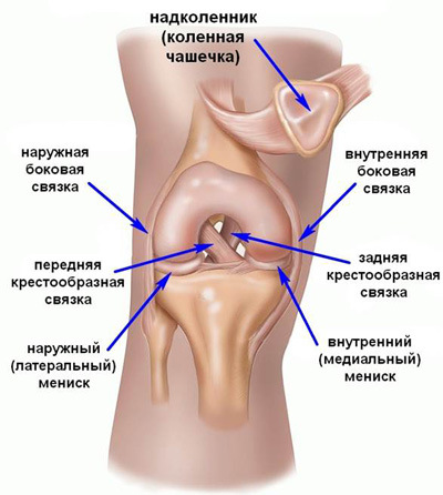 razryv-svyazok-kolennogo-sustava