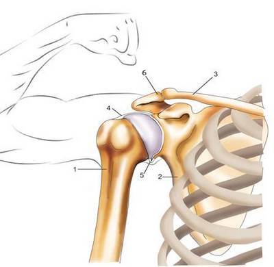 Изображение - Боль в плечевом суставе ограничение движения periartrit2
